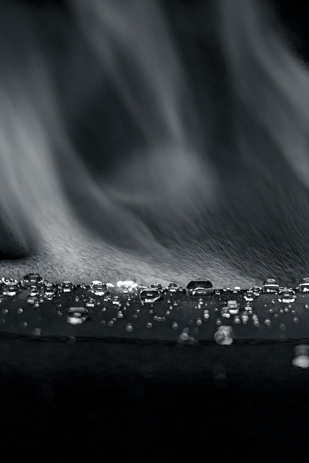 WINDPROOF AND WATER-RESISTANT