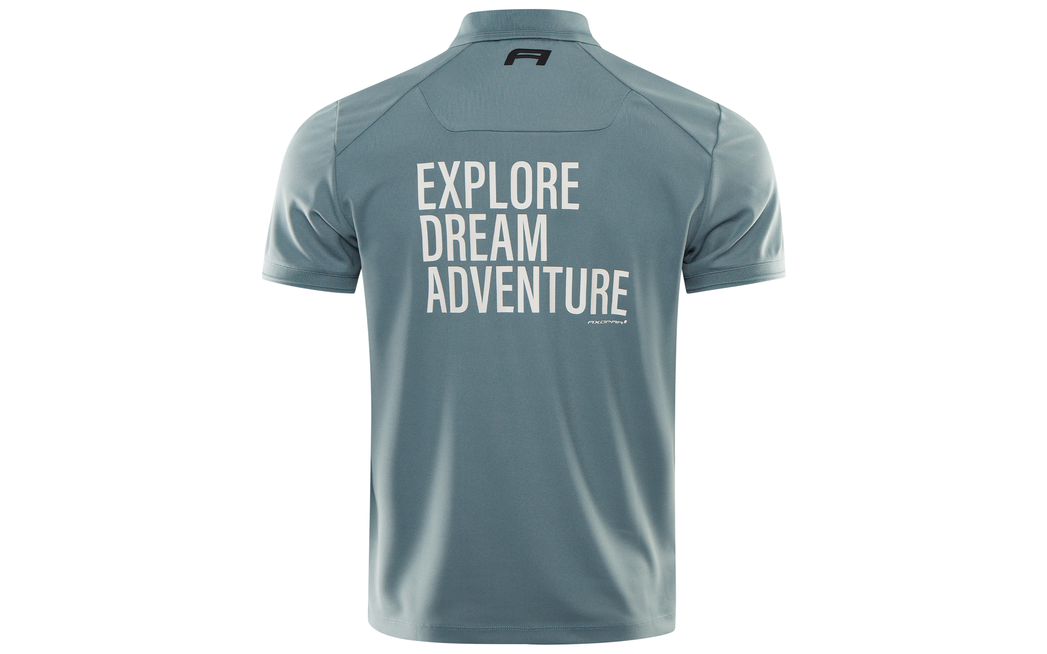 THE ADV STATEMENT POLO