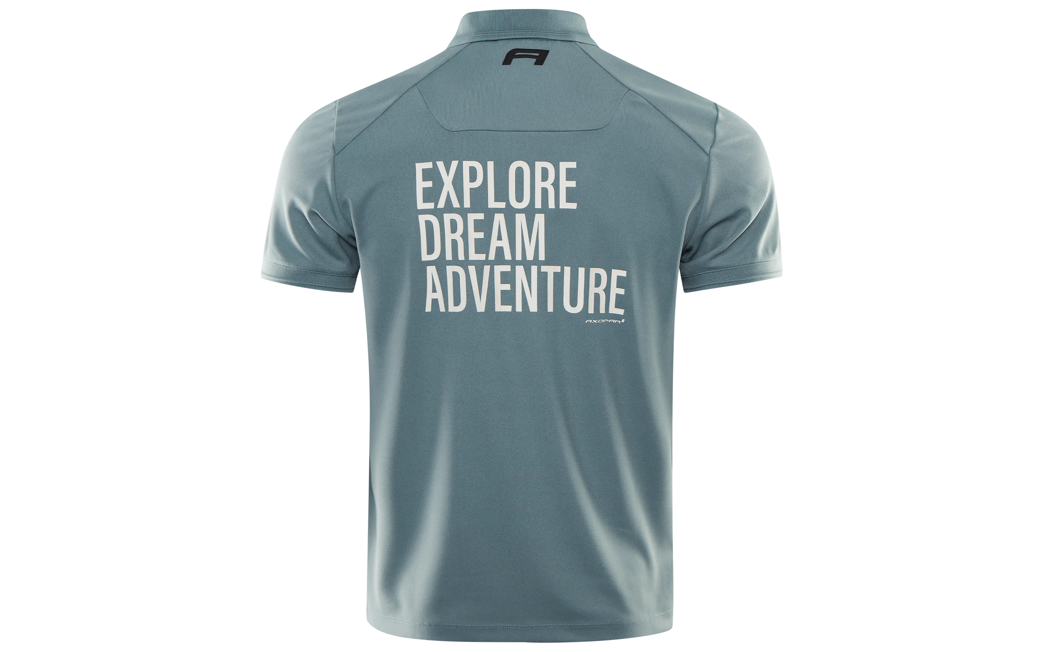 THE ADV STATEMENT POLO
