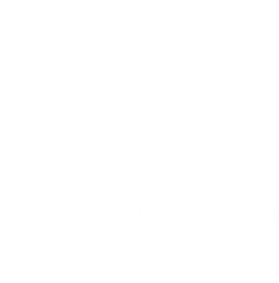feature icon